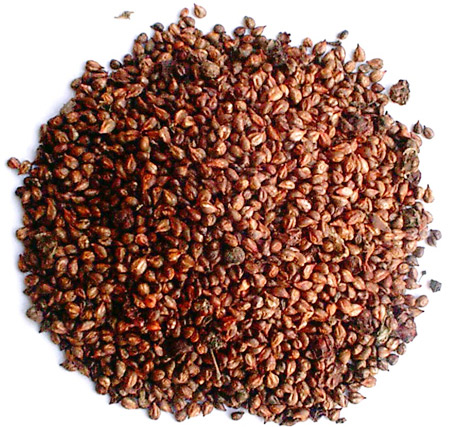 Grape seeds