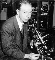 RifeMicroscope