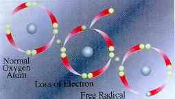 free-radicals