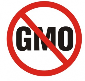 gmo no