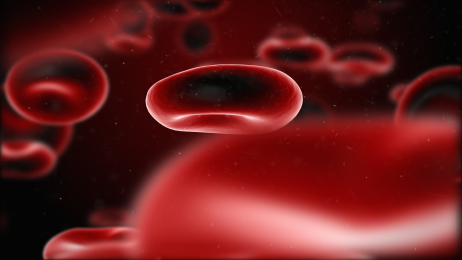 Blood Cells Flow 3D Composition