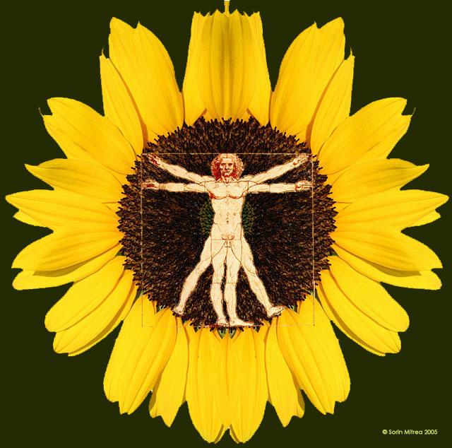 natural medicine