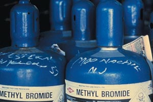 MethylBromide