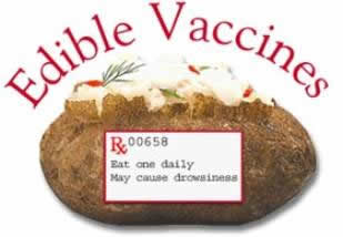 edible vaccines